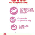 Miniatyrbillede 5 af 9: Royal Canin Kitten katte tørfoder 4 kg fjerkræ