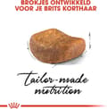 Miniatyrbild 3 av 11: Royal Canin British Shorthair Vuxna katter torrfoder 4 kg