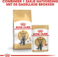 Miniatyrbild 5 av 11: Royal Canin British Shorthair Vuxna katter torrfoder 4 kg