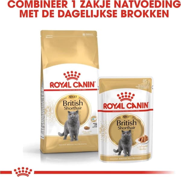 Royal Canin British Shorthair Vuxna katter torrfoder 4 kg