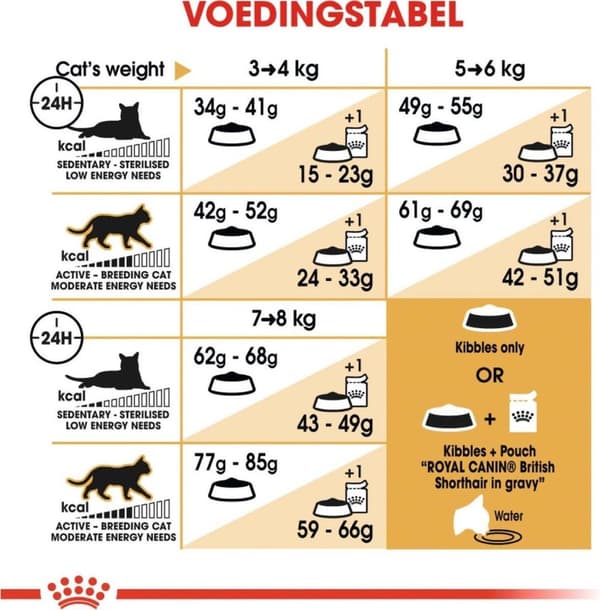 Royal Canin British Shorthair Vuxna katter torrfoder 4 kg