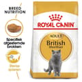 Miniatyrbild 9 av 11: Royal Canin British Shorthair Vuxna katter torrfoder 4 kg