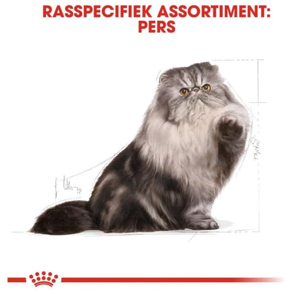 Royal Canin persiankissojen kuivaruoka 4 kg Aikuinen maissi, Siipikarja