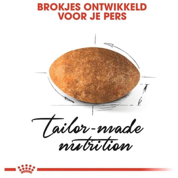 Royal Canin persiankissojen kuivaruoka 4 kg Aikuinen maissi, Siipikarja