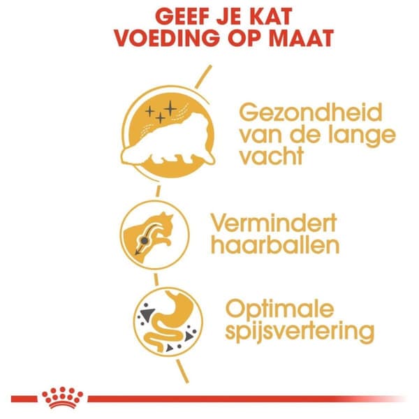 Royal Canin persiankissojen kuivaruoka 4 kg Aikuinen maissi, Siipikarja