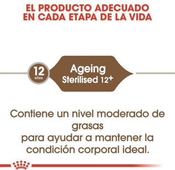 Royal Canin Senior Aging Sterilized 12+ katter torrfoder 4 kg majs, fjäderfä, grönsaker