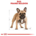Miniatyrbillede 9 af 11: Royal Canin BHN Fransk Bulldog Adult - tørfoder til hunde - 9 kg