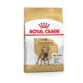 Miniatyrbillede 1 af 11: Royal Canin BHN Fransk Bulldog Adult - tørfoder til hunde - 9 kg