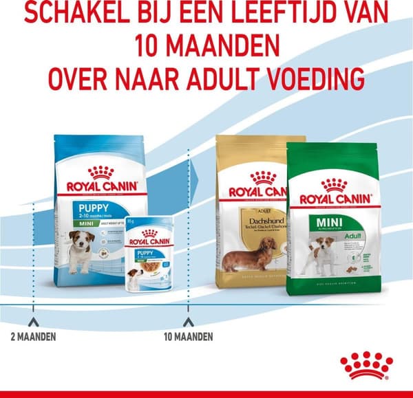 Royal Canin SHN Mini Puppy 8 kg