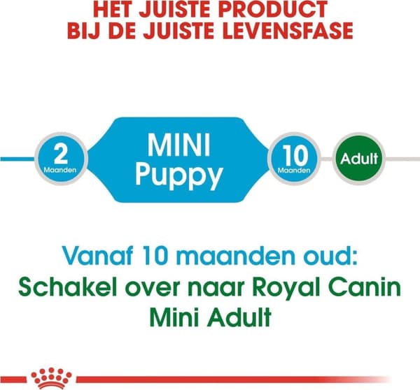 Royal Canin SHN Mini Puppy 8 kg