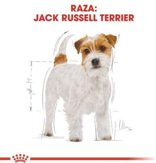 Royal Canin Jack Russell Voksen 7,5 kg fjerkræ, ris