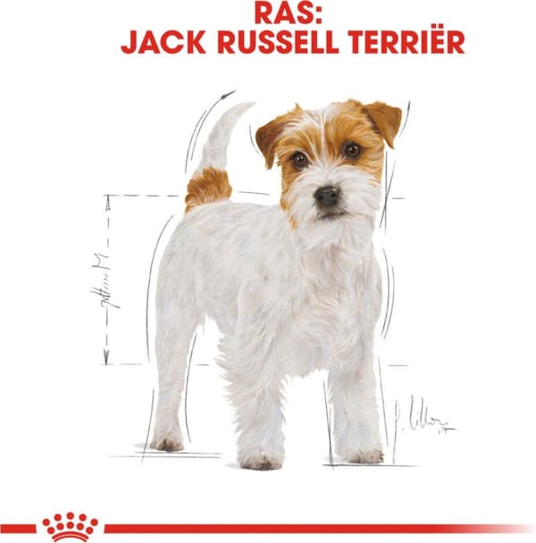 Royal Canin Jack Russell Voksen 7,5 kg fjerkræ, ris