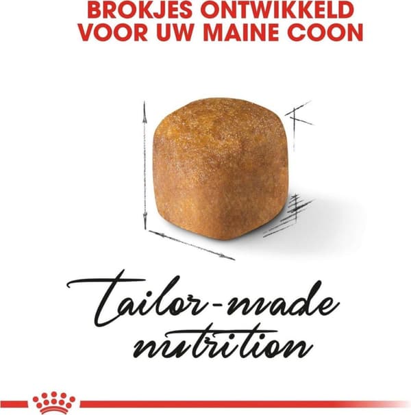 Royal Canin Maine Coon Kattunge katter torrfoder Fjäderfä, Ris 4 kg