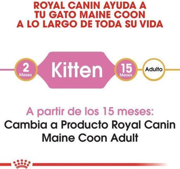 Royal Canin Maine Coon Kattunge katter torrfoder Fjäderfä, Ris 4 kg