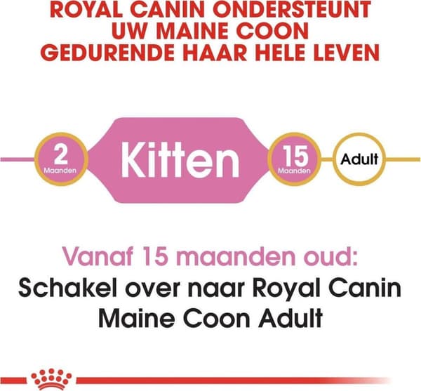 Royal Canin Maine Coon Kattunge katter torrfoder Fjäderfä, Ris 4 kg