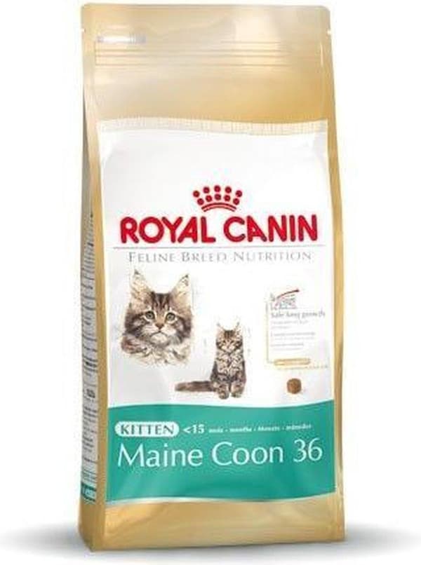 Royal Canin Maine Coon Kattunge katter torrfoder Fjäderfä, Ris 4 kg