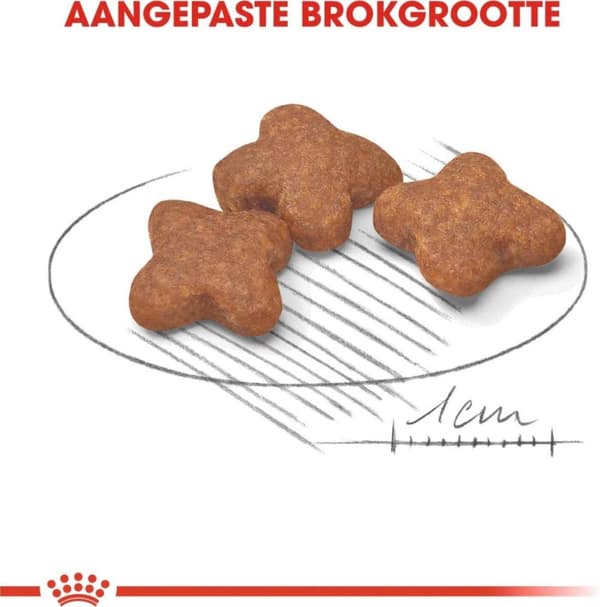 Royal Canin Mini Vuxen 8+ 8 kg Seniorfjäderfä, ris, grönsaker