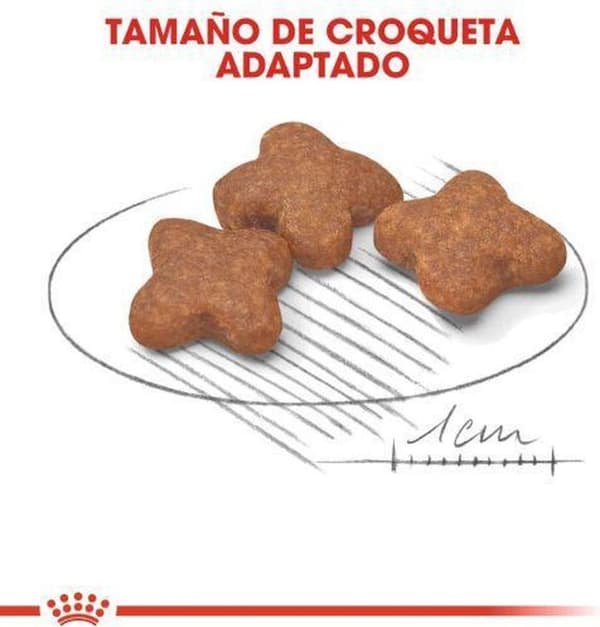 Royal Canin Mini Vuxen 8+ 8 kg Seniorfjäderfä, ris, grönsaker
