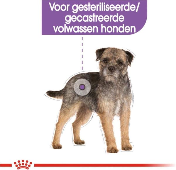 Royal Canin MINI Steriliseret 8 kg Voksen