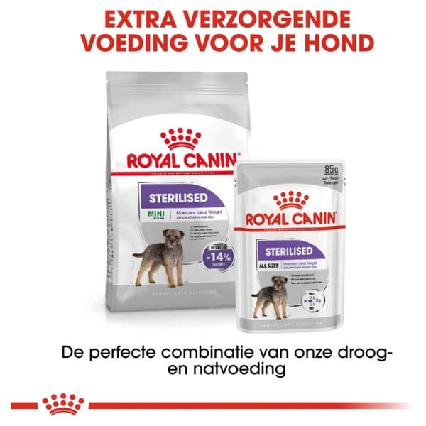 Royal Canin MINI Steriliseret 8 kg Voksen