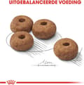 Miniatyrbillede 3 af 11: Royal Canin CCN Medium steriliseret voksen hund 12 kg