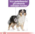Miniatyrbillede 7 af 11: Royal Canin CCN Medium steriliseret voksen hund 12 kg