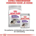 Miniatyrbillede 11 af 11: Royal Canin CCN Medium steriliseret voksen hund 12 kg