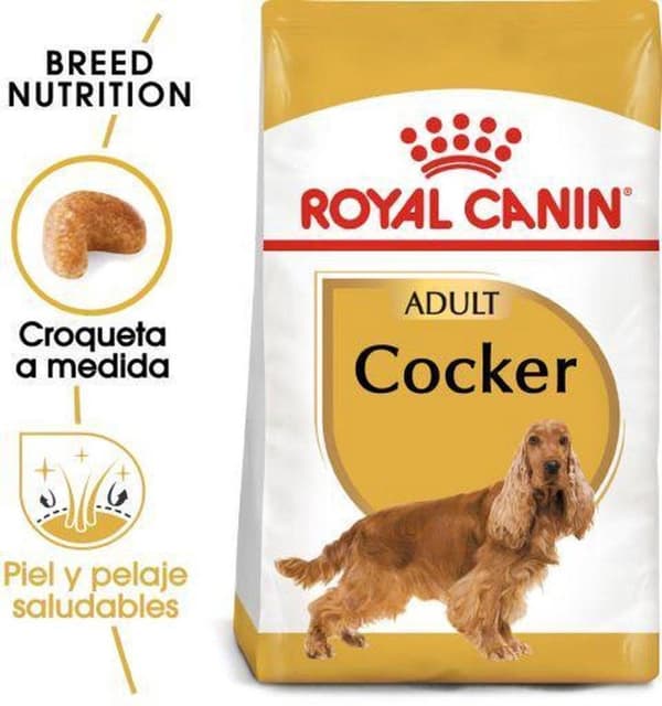 Royal Canin Cocker Voksen Tør hundefoder Majs, Fjerkræ, Ris 12 kg