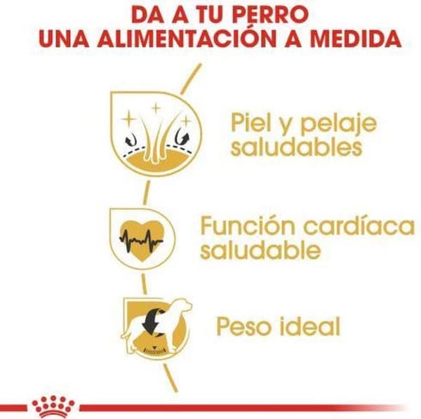 Royal Canin Golden Retriever Voksen 12 kg