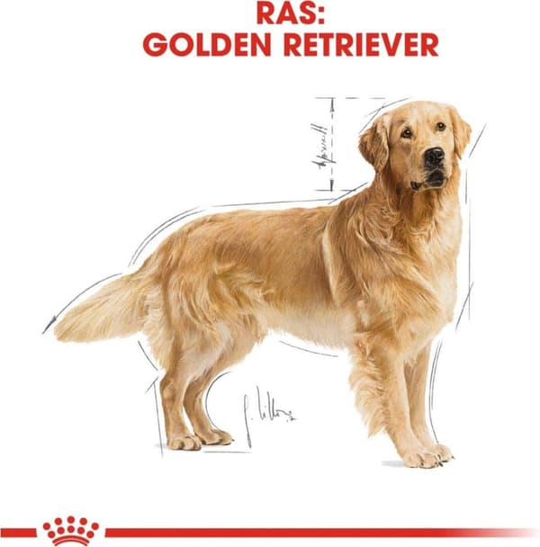 Royal Canin Golden Retriever Voksen 12 kg