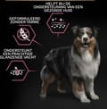Pikkukuva 6 / 11: Purina Medium Adult Sensitive Skin 14 kg Lohi