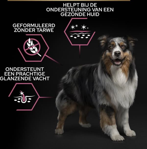 Purina Medium Adult Sensitive Skin 14 kg Lohi