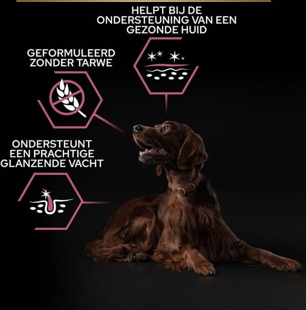 Purina STOR ATLETISK VOKSEN Voksen laks - tørfoder til hunde - 14 kg