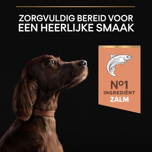 Purina STOR ATLETISK VOKSEN Voksen laks - tørfoder til hunde - 14 kg