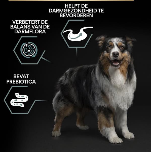 Purina Medium Adult Sensitive Fordøjelse med OPTIDIGEST 14 kg Lam