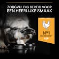 Pikkukuva 5 / 11: Purina Kaikki koot Adult Light/steriloitu, OPTIWEIGHT 14 kg kanaa