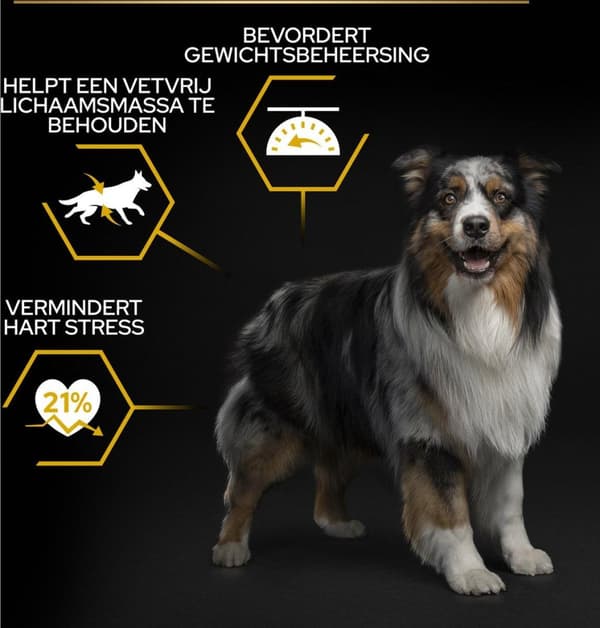Purina Kaikki koot Adult Light/steriloitu, OPTIWEIGHT 14 kg kanaa