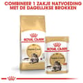 Miniatyrbild 6 av 11: Royal Canin FBN Maine Coon Vuxen - torrfoder för katter - 10kg