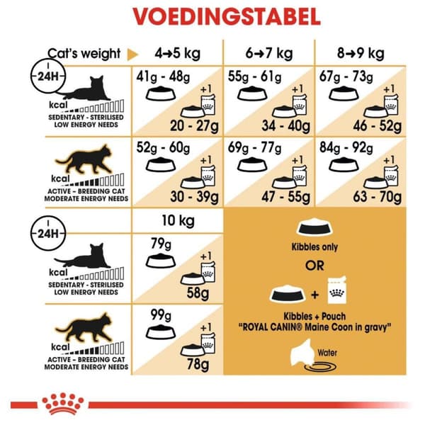 Royal Canin FBN Maine Coon Vuxen - torrfoder för katter - 10kg