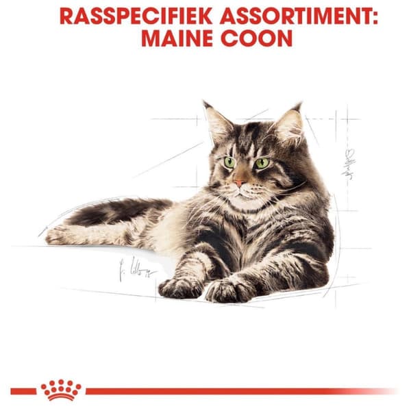 Royal Canin FBN Maine Coon Vuxen - torrfoder för katter - 10kg