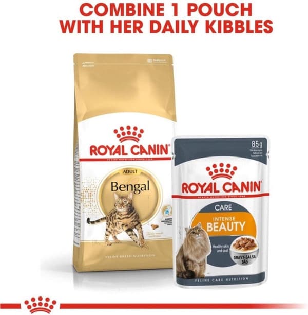 Royal Canin FBN Bengal Voksen - tør kattefoder - 10 kg