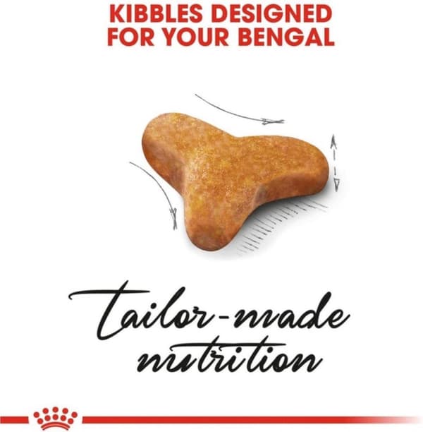 Royal Canin FBN Bengal Voksen - tør kattefoder - 10 kg