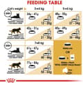 Miniatyrbillede 8 af 9: Royal Canin FBN Bengal Voksen - tør kattefoder - 10 kg