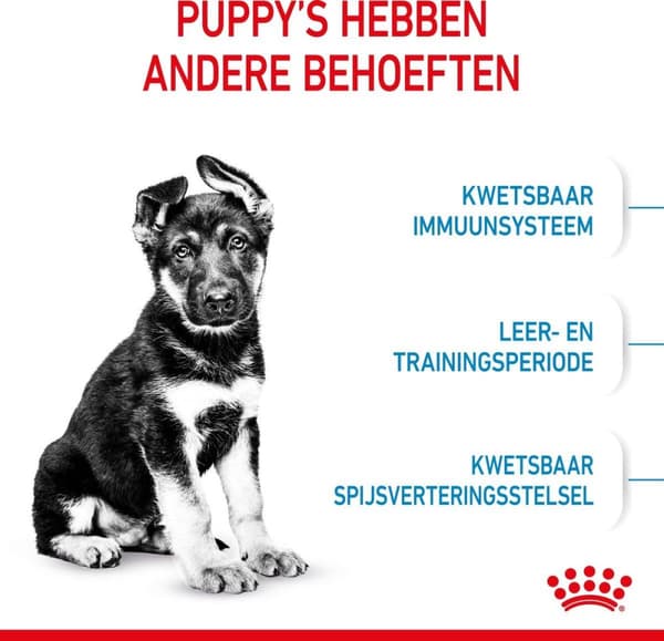 Royal Canin Maxi Puppy 15 kg Ris, Grøntsag