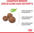 Miniatyrbillede 9 af 9: Royal Canin Medium Puppy 15 kg Grøntsag