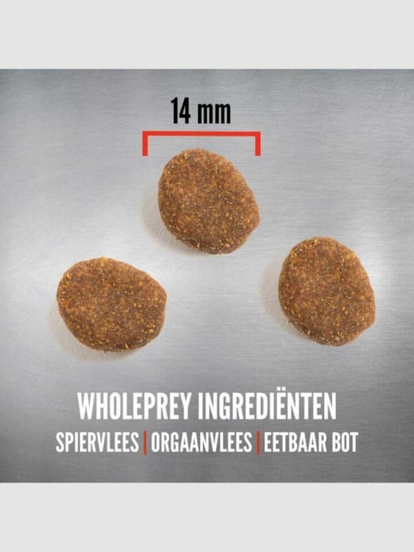 Orijen Regional Red 11,4 kg Aikuinen naudanliha, lammas, sianliha