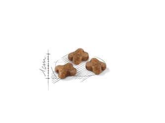 Royal Canin Kitten, Kattunge, Höns, 2 kg