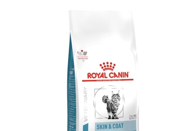 ROYAL CANIN Skin &amp; Coat - torrfoder för kattungar - 1,5 kg
