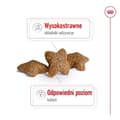 Miniatyrbild 4 av 6: ROYAL CANIN Adult Mini S - torrfoder för hundar - 8 kg