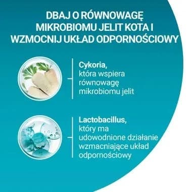 Beaphar rentouttava kaulapanta koirille - 65 cm